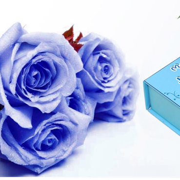 Christmas Gifts Single Roses Soap Flower Gift Box